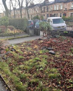 Low Maintenance Garden