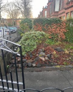 Low Maintenance Garden