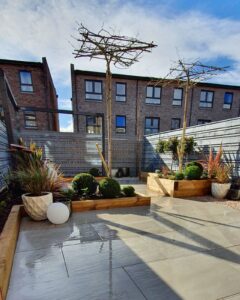 Small Urban Garden