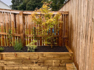 Raised Border Garden