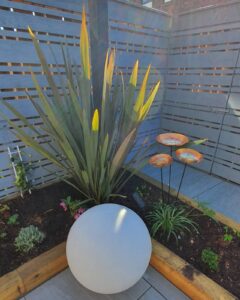 Small Urban Garden