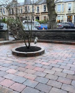 Low Maintenance Garden