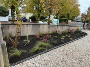 Modern Garden